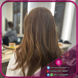 رنگ مو دودی بدون دکلره