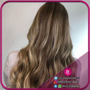 مش فویلی حرفه ای