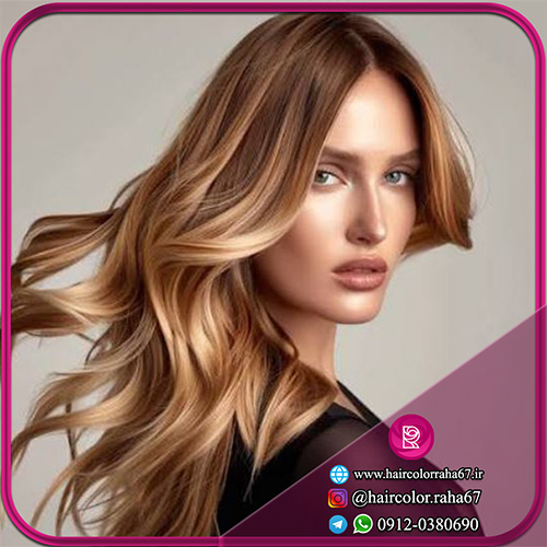 مش فویلی حرفه ای